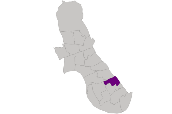 Lib Dem Candidates - Lillie