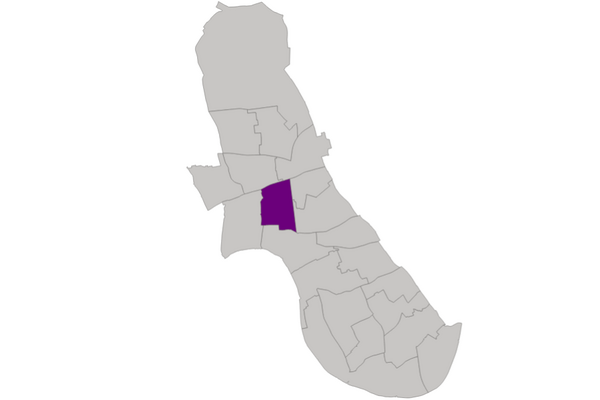 Lib Dem Candidates - Grove