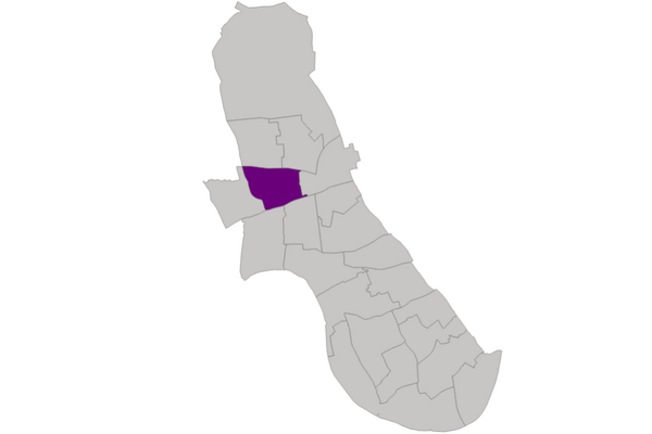 Lib Dem Candidates - Coningham