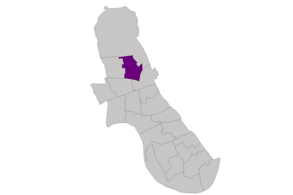 Lib Dem Candidates - White City