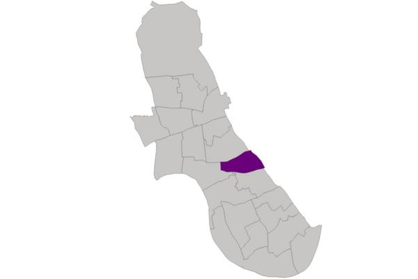 Lib Dem Candidates - Avonmore