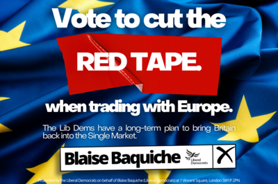 A European Flag with the words Vote to Cut the Red Tape emblazoned on it