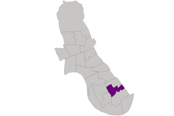 Lib Dem Candidates - Walham Green